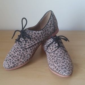 Dolce Vita suede, leopard print oxfords